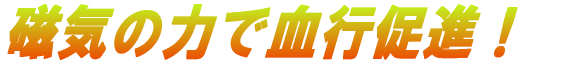 ���C�̗͂Ō��s���i�I